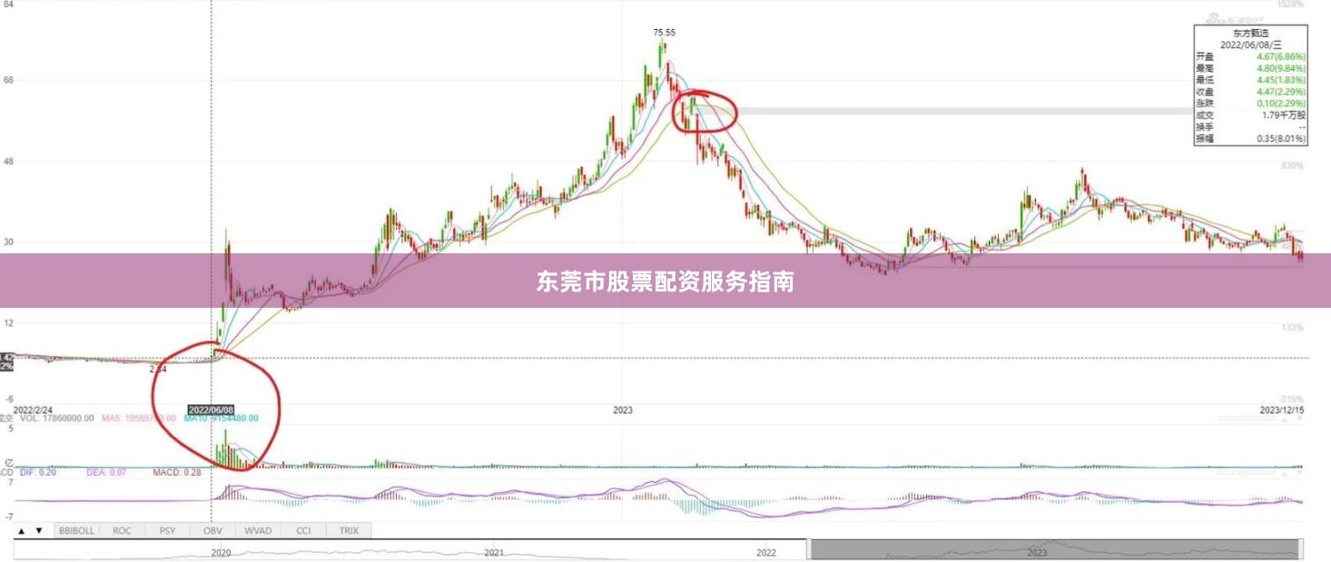 东莞市股票配资服务指南