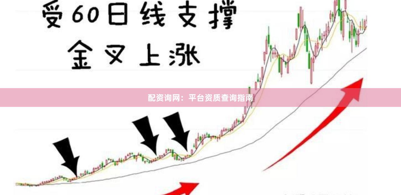 配资询网：平台资质查询指南