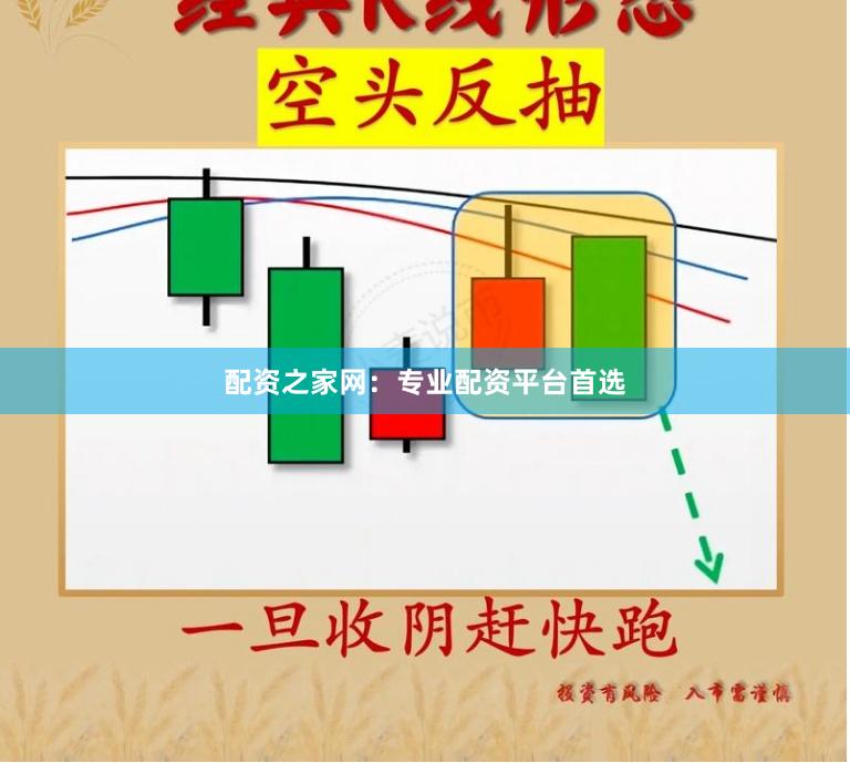 配资之家网:专业配资平台首选